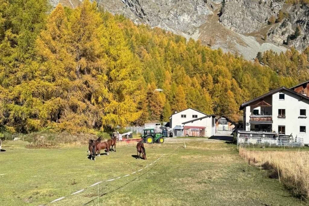 Dove si trova il Bernina Express a Tirano | Treno delle Alpi
